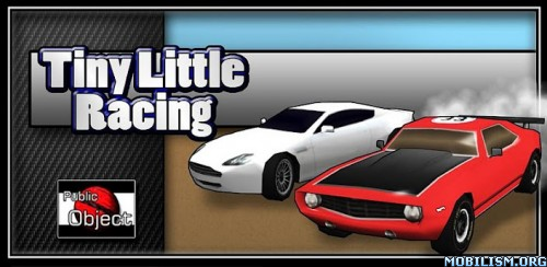 Tiny Little Racing 1.30 APK