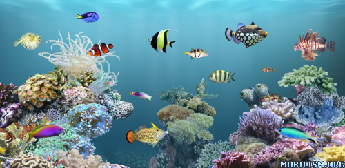 aniPet Aquarium Live Wallpaper v2.4.9 ?dm=RS4V